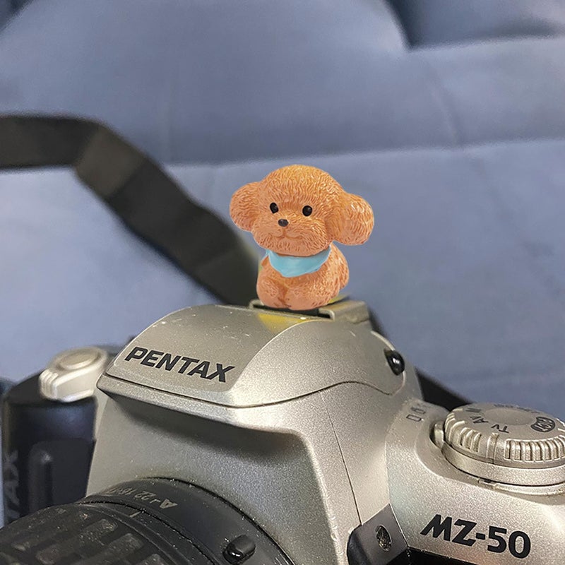MENGSOOD Camera Hot Shoe Cover, Cute Cap and Protector Compatible With Sony Fujifilm Fuji Canon Nikon Pentax Leical Panasonic (2pcs Golden Retriever + Tactic) - Image 4